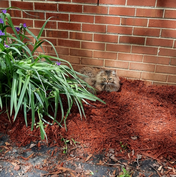 A little of everything at "TheAtticOfOurs". - Picture 2 of 2